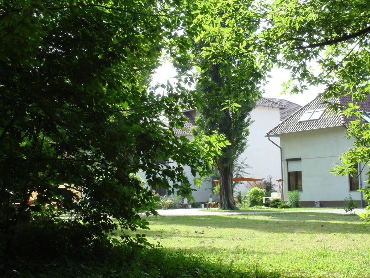 Roza Hotel Es Apartmanhaz Esztergom Exterior photo